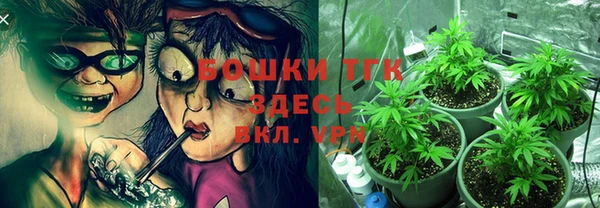 амф Беломорск