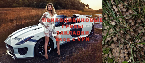 амф Беломорск