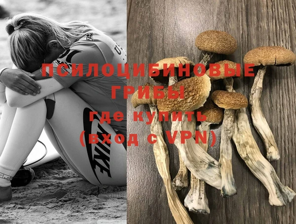 Альфа ПВП Белоозёрский